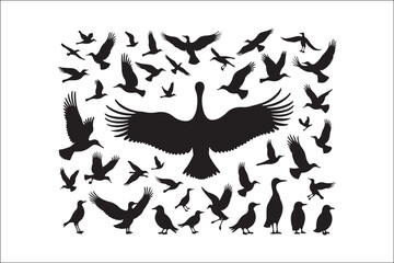Bird Silhouette Bundle | Flying Birds Vector Clipart | SVG, PNG, EPS for Cricut & Laser Cutting

Birds Vector Silhouettes | Wildlife Animal SVG Files | Digital Bird Clipart for Crafts & Decor

Flying 
