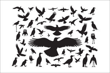 Bird Silhouette Bundle | Flying Birds Vector Clipart | SVG, PNG, EPS for Cricut & Laser Cutting

Birds Vector Silhouettes | Wildlife Animal SVG Files | Digital Bird Clipart for Crafts & Decor

Flying 