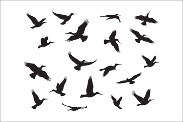 Bird Silhouette Bundle | Flying Birds Vector Clipart | SVG, PNG, EPS for Cricut & Laser Cutting

Birds Vector Silhouettes | Wildlife Animal SVG Files | Digital Bird Clipart for Crafts & Decor

Flying 