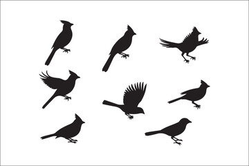 Bird Silhouette Bundle | Flying Birds Vector Clipart | SVG, PNG, EPS for Cricut & Laser Cutting

Birds Vector Silhouettes | Wildlife Animal SVG Files | Digital Bird Clipart for Crafts & Decor

Flying 