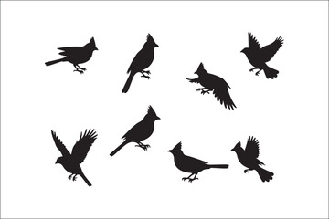 Bird Silhouette Bundle | Flying Birds Vector Clipart | SVG, PNG, EPS for Cricut & Laser Cutting

Birds Vector Silhouettes | Wildlife Animal SVG Files | Digital Bird Clipart for Crafts & Decor

Flying 
