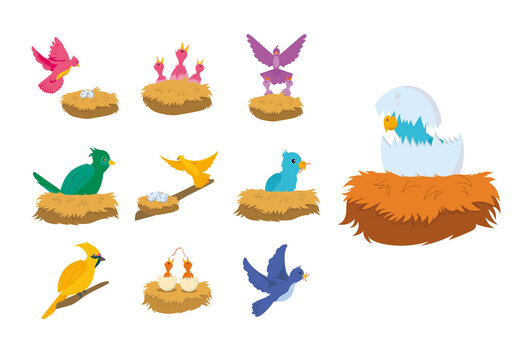 Cute Nesting Baby Birds Cartoon Icons Set