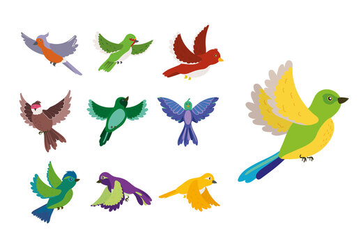 Bright Flying Cartoon Birds Vector Icons Set
