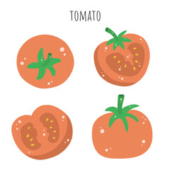 Tomato, Fresh Tomato, Vector, Vegetable