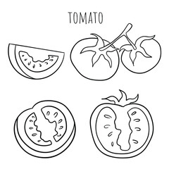 Tomato, Fresh Tomato, Vector, Vegetable, Line