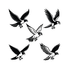 Silhouette falcon bird flying  eways