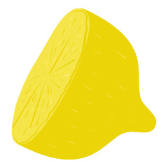 Fresh half Lemon fruit. Hand drawn vector illustration. Lemon fruit illustration for cards, designs, invitations, logos