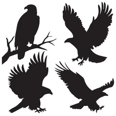 set of eagle black vector silhouettes