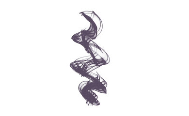 Brush stock isolated on transparent background, PNG file