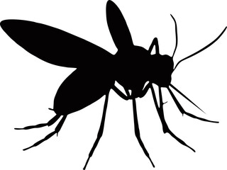 mosquito illustration vector