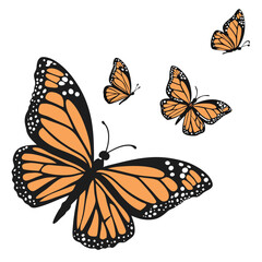 monarch butterflies set vector