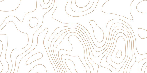 Abstract Topographic Pattern Background. Abstract black and white topographic contours lines of mountains. wave Line topography map contour. Transparent PNG Topographic line map. Modern design, 3d art