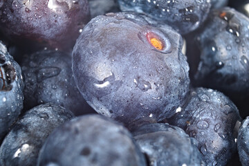 A close-up shot of fresh, ripe blueberries covered in tiny water droplets, creating a refreshing and visually appealing image.