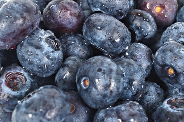 A close-up shot of a pile of fresh blueberries, covered with tiny water droplets. The textures and...