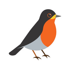 American Robin Vector Art Illustration | Colorful Robin Bird Design