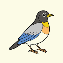 American Robin Vector Art Illustration | Colorful Robin Bird Design