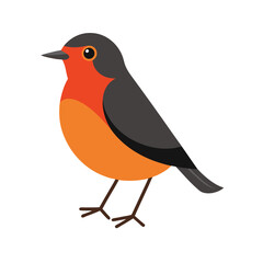 American Robin Vector Art Illustration | Colorful Robin Bird Design