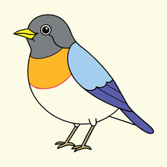 American Robin Vector Art Illustration | Colorful Robin Bird Design
