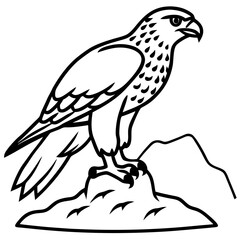 Fototapeta premium Vector art illustration of a hawk