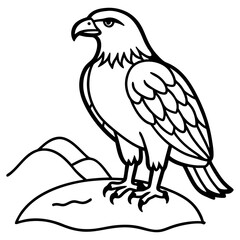 Vector art illustration of a hawk