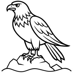 Fototapeta premium Vector art illustration of a hawk