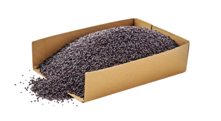 Open Dried Poppy Box Seeds Isolated PNG - Capsule Head Seed Pod Botanical Graphic Element White Background