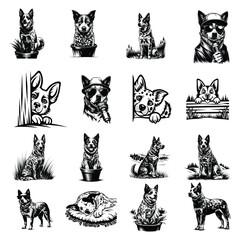 Australian Cattle Dog svg