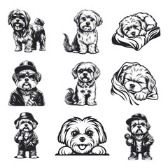 Maltese dog svg