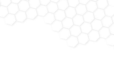 Abstract hexagon background,Minimal white hexagonal hexagon modern technology,abstract geometric science and mosaic tile with template texture background.white and gray hexagon honeycomb geometric cop