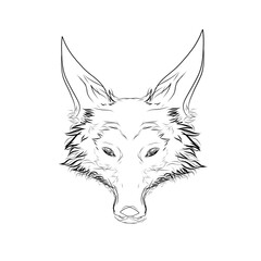fox head vector sketch without background