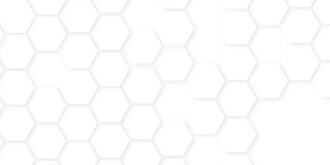 Fototapeta premium Abstract hexagon background,Minimal white hexagonal hexagon modern technology,abstract geometric science and mosaic tile with template texture background.white and gray hexagon honeycomb geometric cop