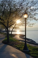 Sunlit Walkway beside Lush Swale: A Harmonious Blend of Greenery, Water, and Light