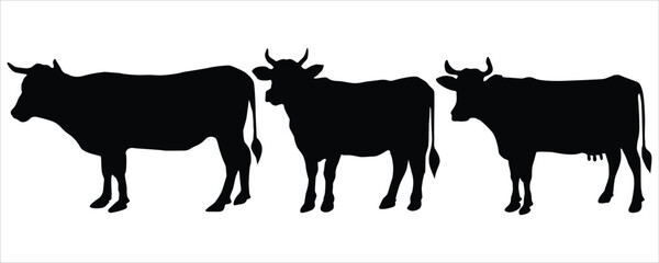 silhouettes set  of cow