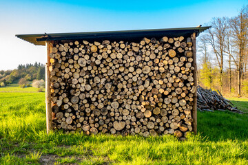 Brennholz Lager am Waldrand