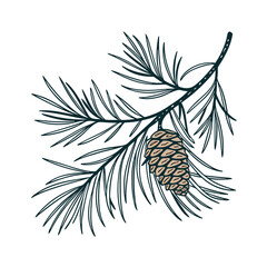 pine cones