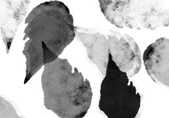 Abstract natural tree leaves shadow on white wall background, noise background, Isolated on transparent background, PNG	