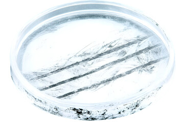 Isolated Transparent Petri Dish on White Background Illustration