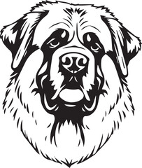 Saint Bernard dog. Hand drawn vector illustration	