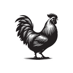 Chicken Silhouette Vector Illustration
