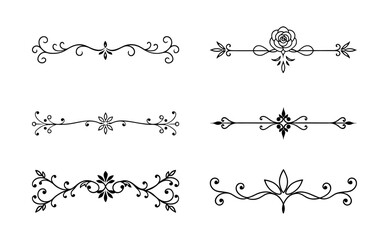 Unique floral divider terms element set of general and specific on white background
