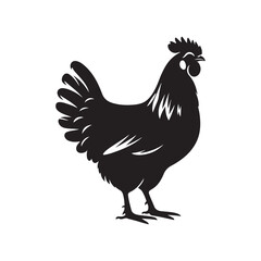 Chicken Silhouette Vector Illustration
