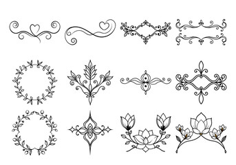 Unique floral divider terms element set of general and specific on white background