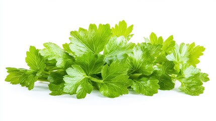 Fototapeta premium Fresh Chinese Celery Leaves Isolated on Crisp White Background for Vibrant Vegetarian Cuisine