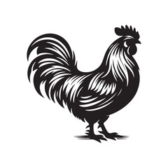 Chicken Silhouette Vector Illustration
