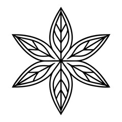 Luxury floral divider terms element of general and specific on white background