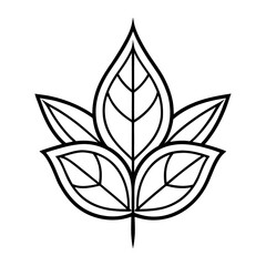 Luxury floral divider terms element of general and specific on white background