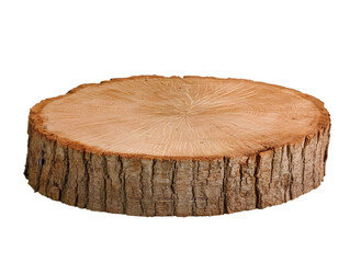 Isolated Wooden Log Slice Displaying Natural Wood Grain Texture on Black Background