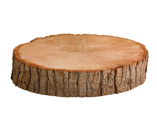 Isolated Wooden Log Slice Displaying Natural Wood Grain Texture on Black Background