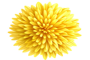 Isolated Yellow Flower Illustration with Transparent Background