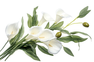 Obraz premium Elegant bouquet of white calla lilies with green leaves and small olives. Decorative and fresh